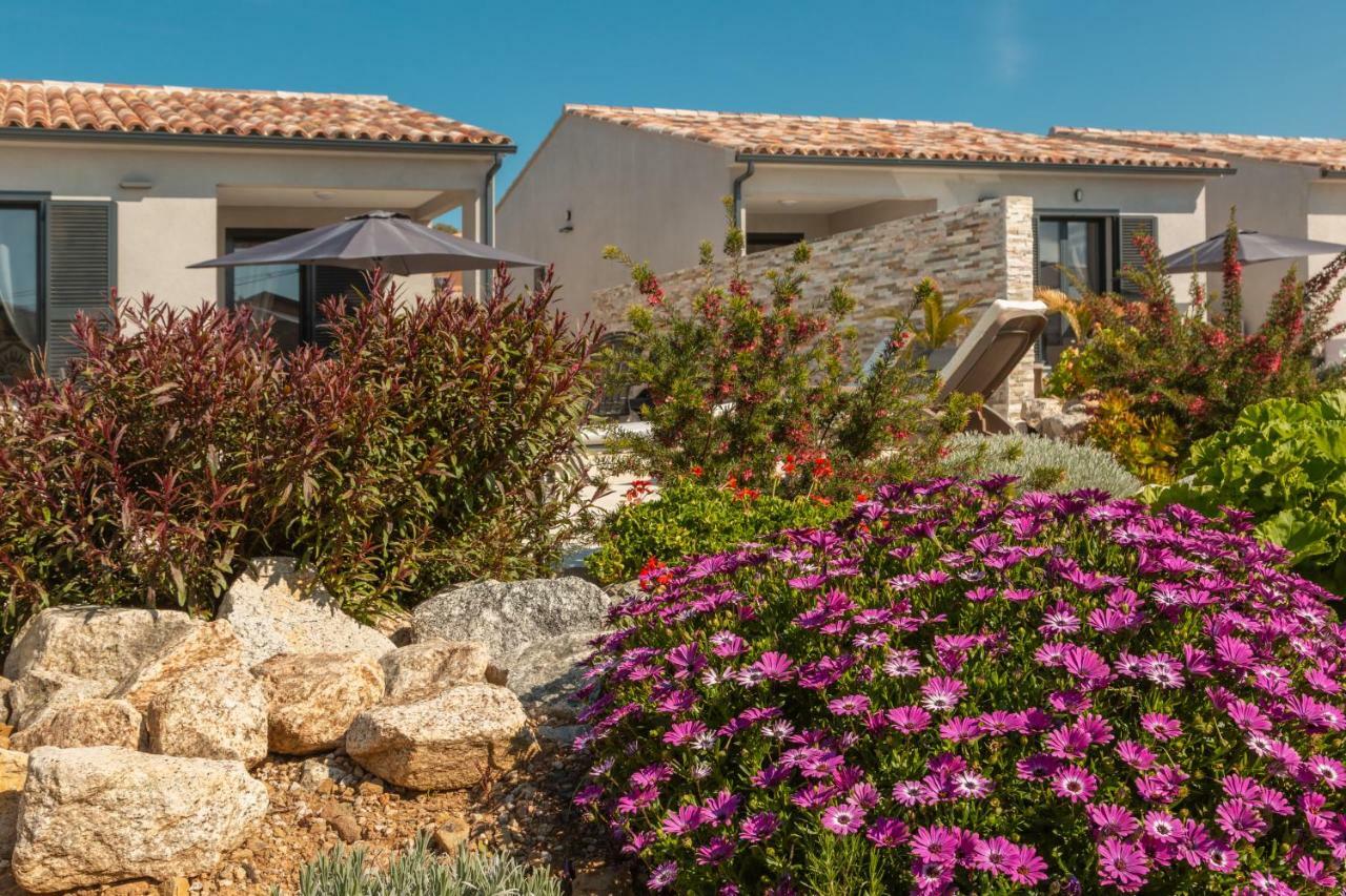 Le Domaine De Marie Villa Palasca  Dış mekan fotoğraf
